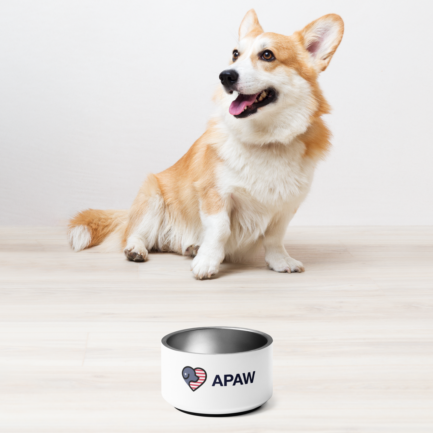 APAW Ultra-Hygenic Pet Bowl