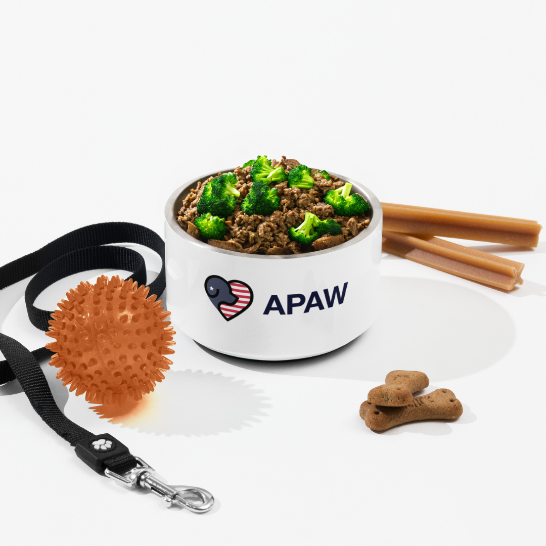 APAW Ultra-Hygenic Pet Bowl